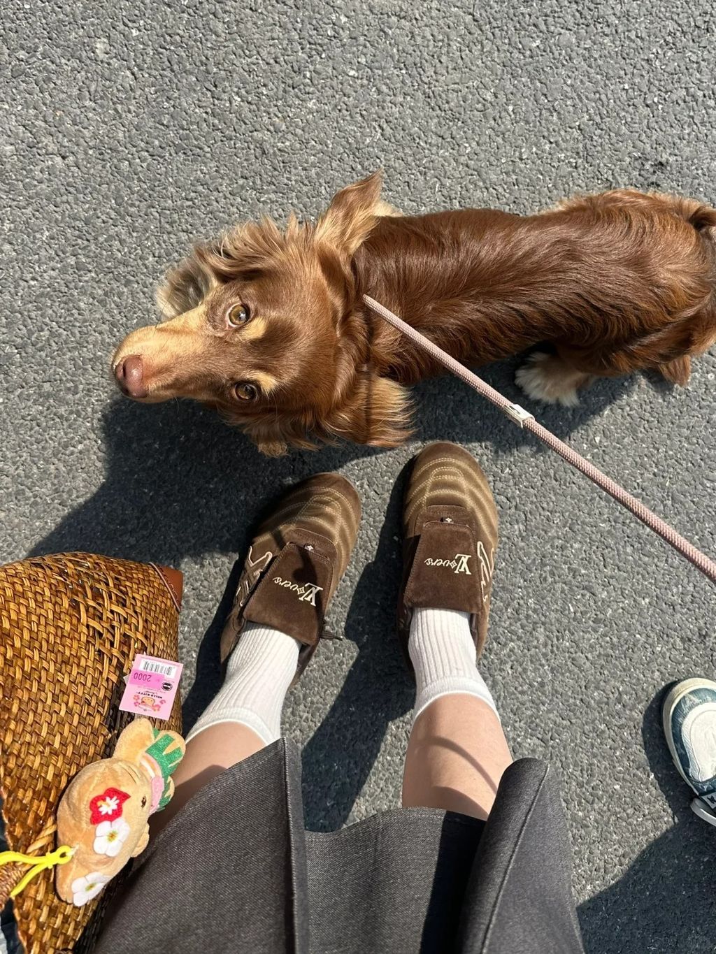 托小狗的福拿下新款LV足球鞋⚽️_1_洳妹和呆呆酱_来自小红书网页版