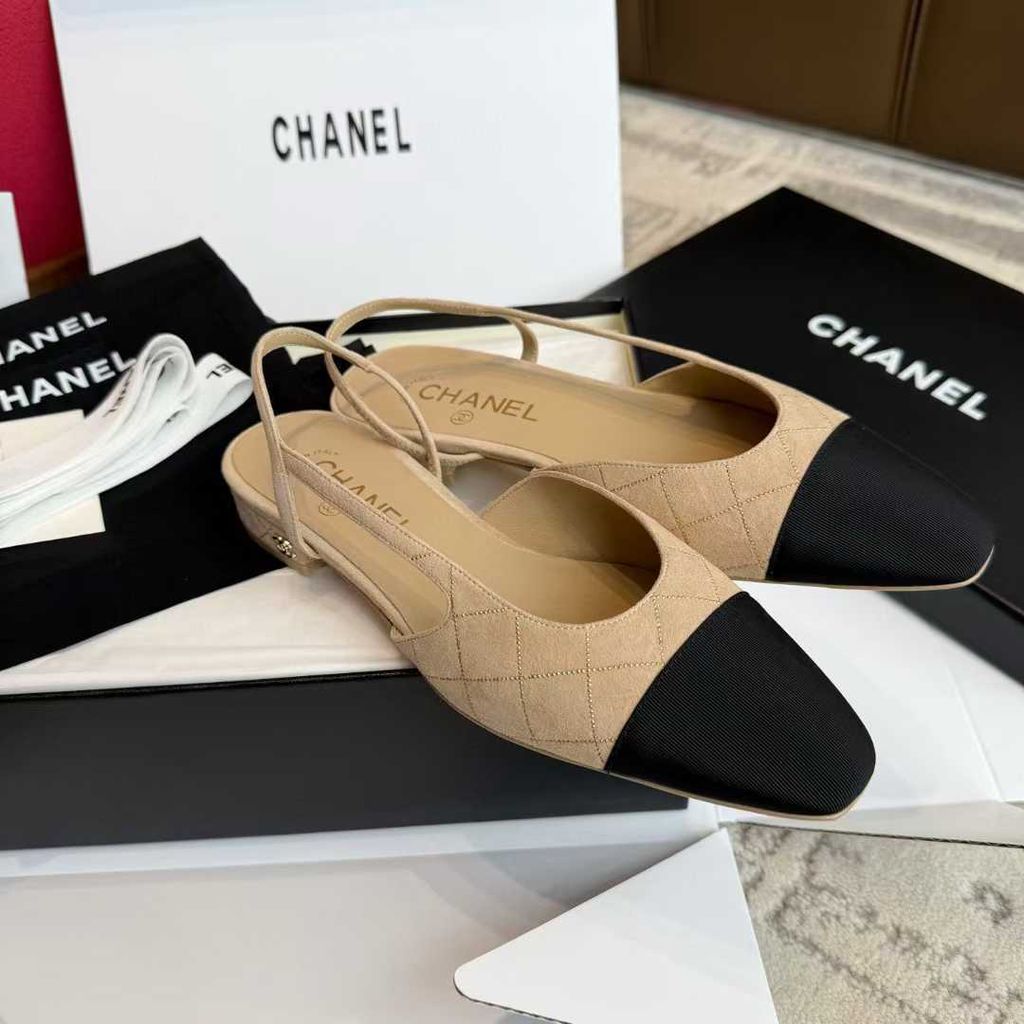 圖片_20250823105000