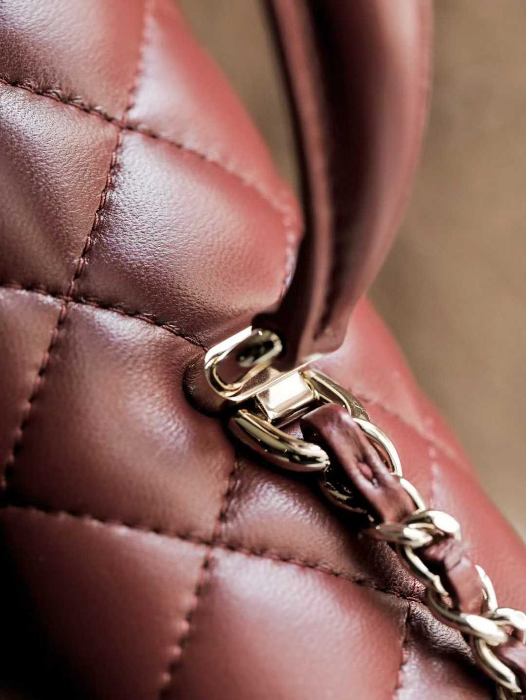 圖片_20250823110234