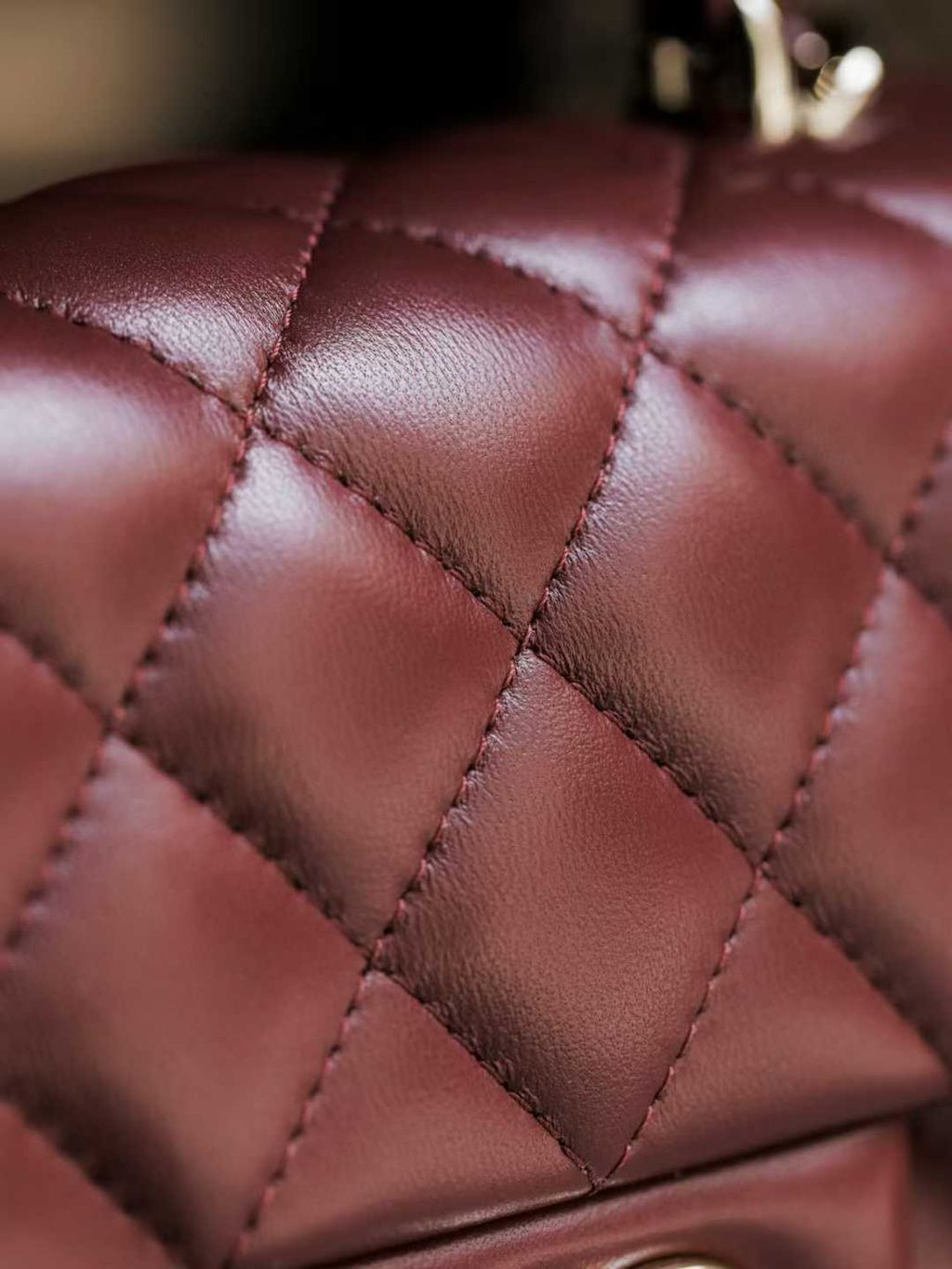 圖片_20250823110237