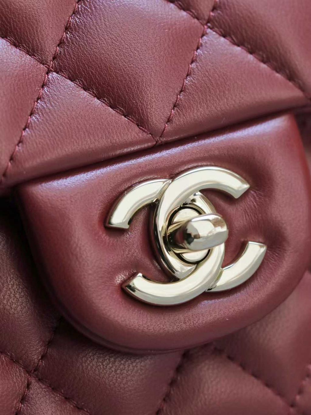 圖片_20250823110235