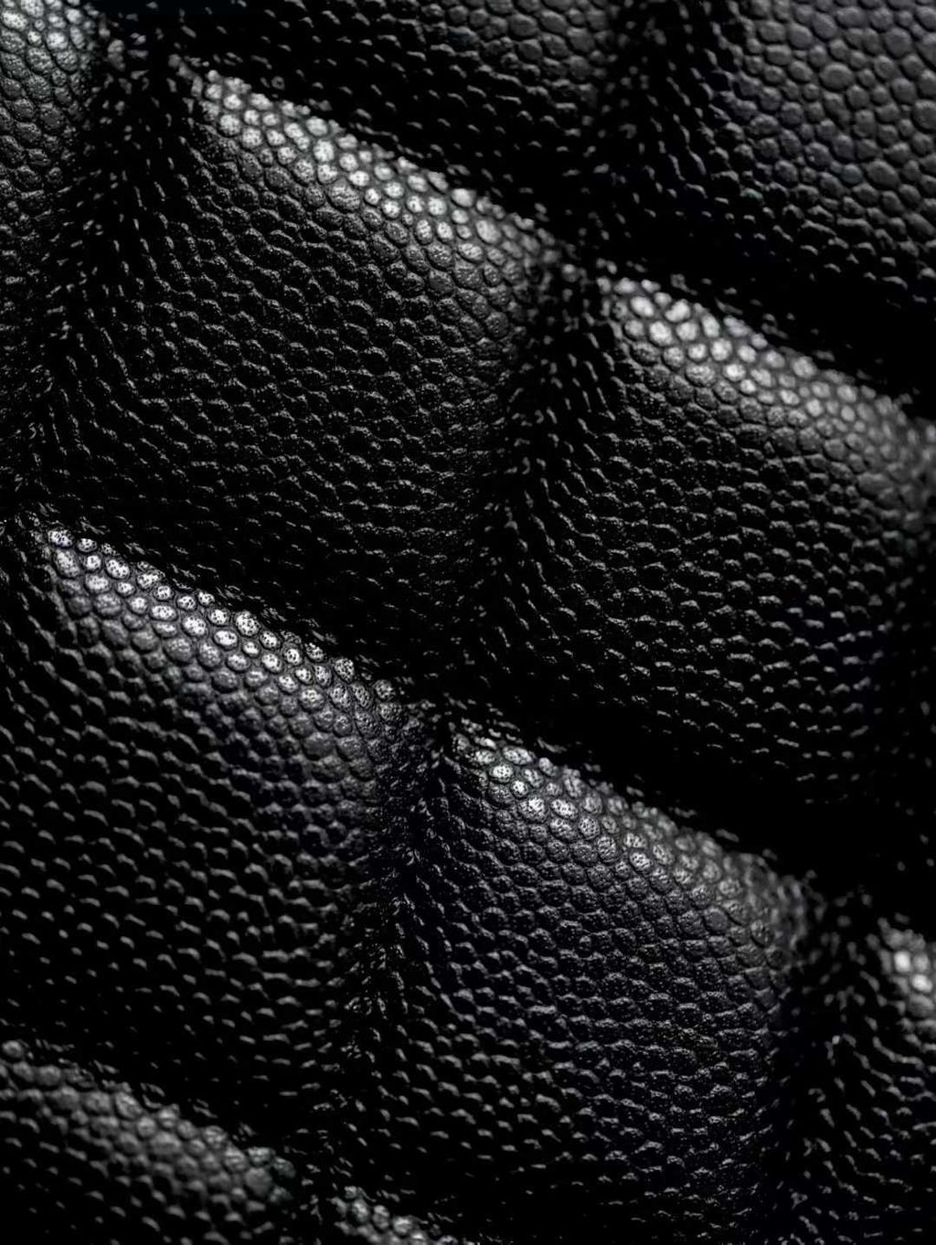 圖片_20250902121142