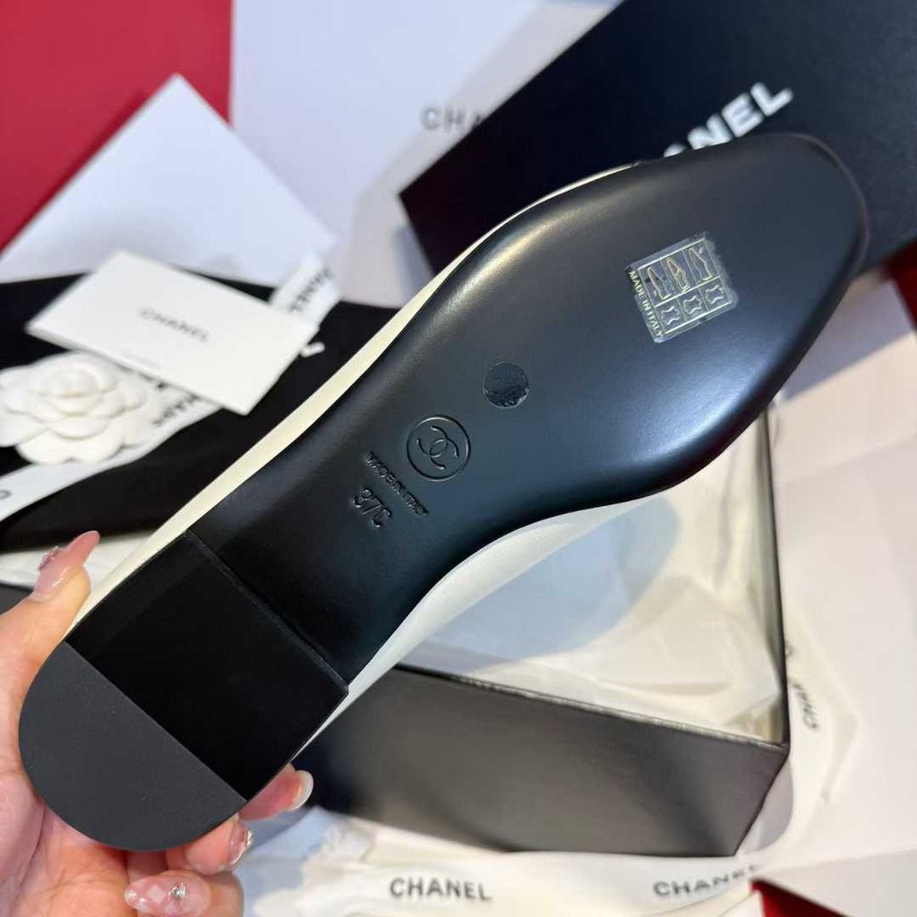 圖片_20250906100930