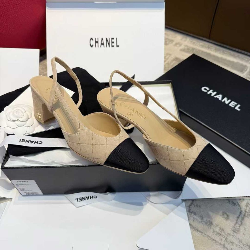 圖片_20250906101451