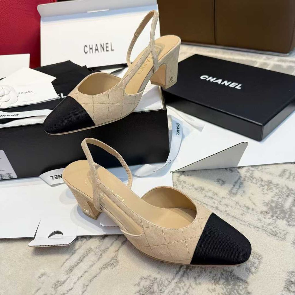 圖片_20250906101457