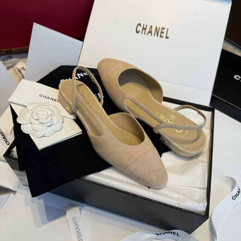 圖片_20250918121935