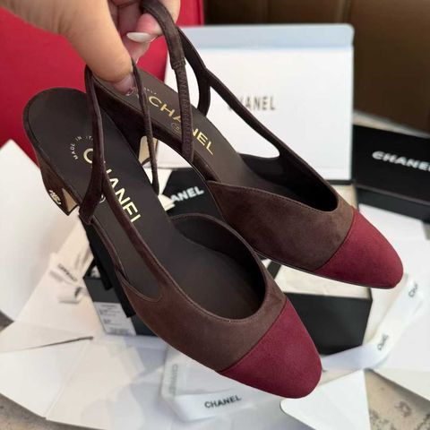 圖片_20250918122251