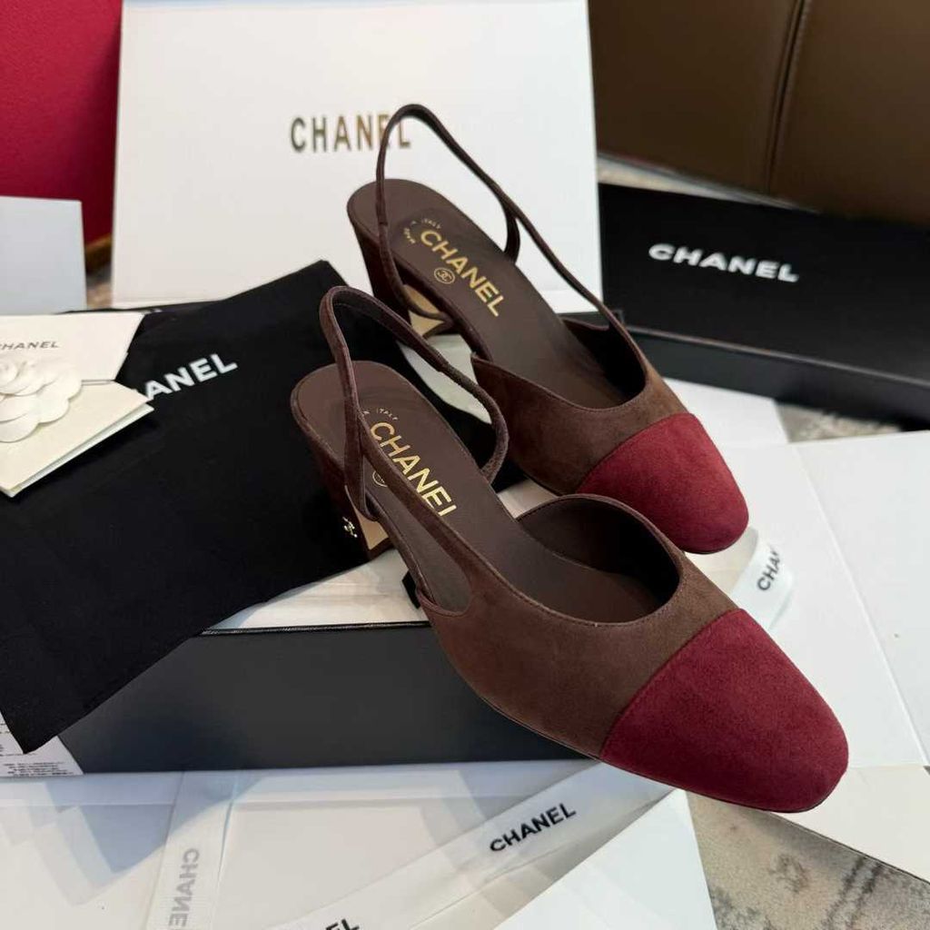 圖片_20250918122254