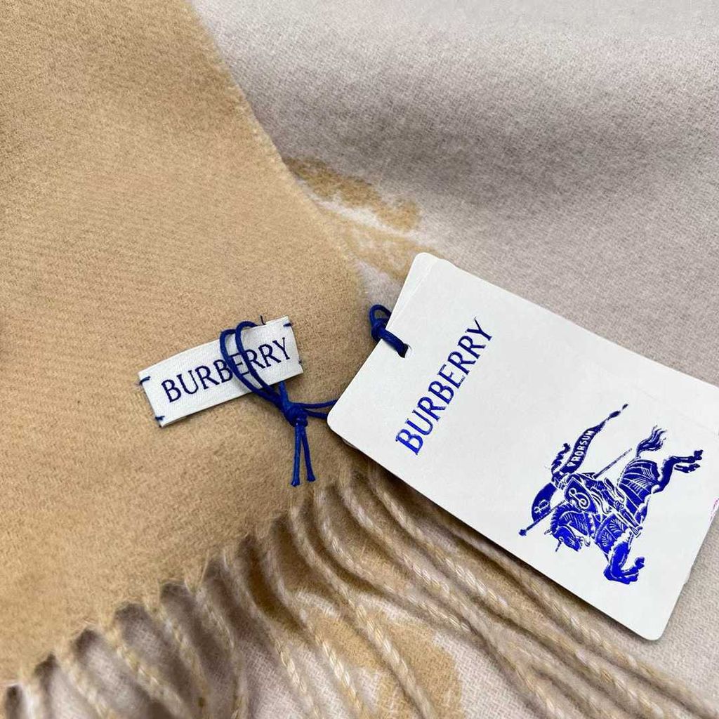 圖片_20250923132457