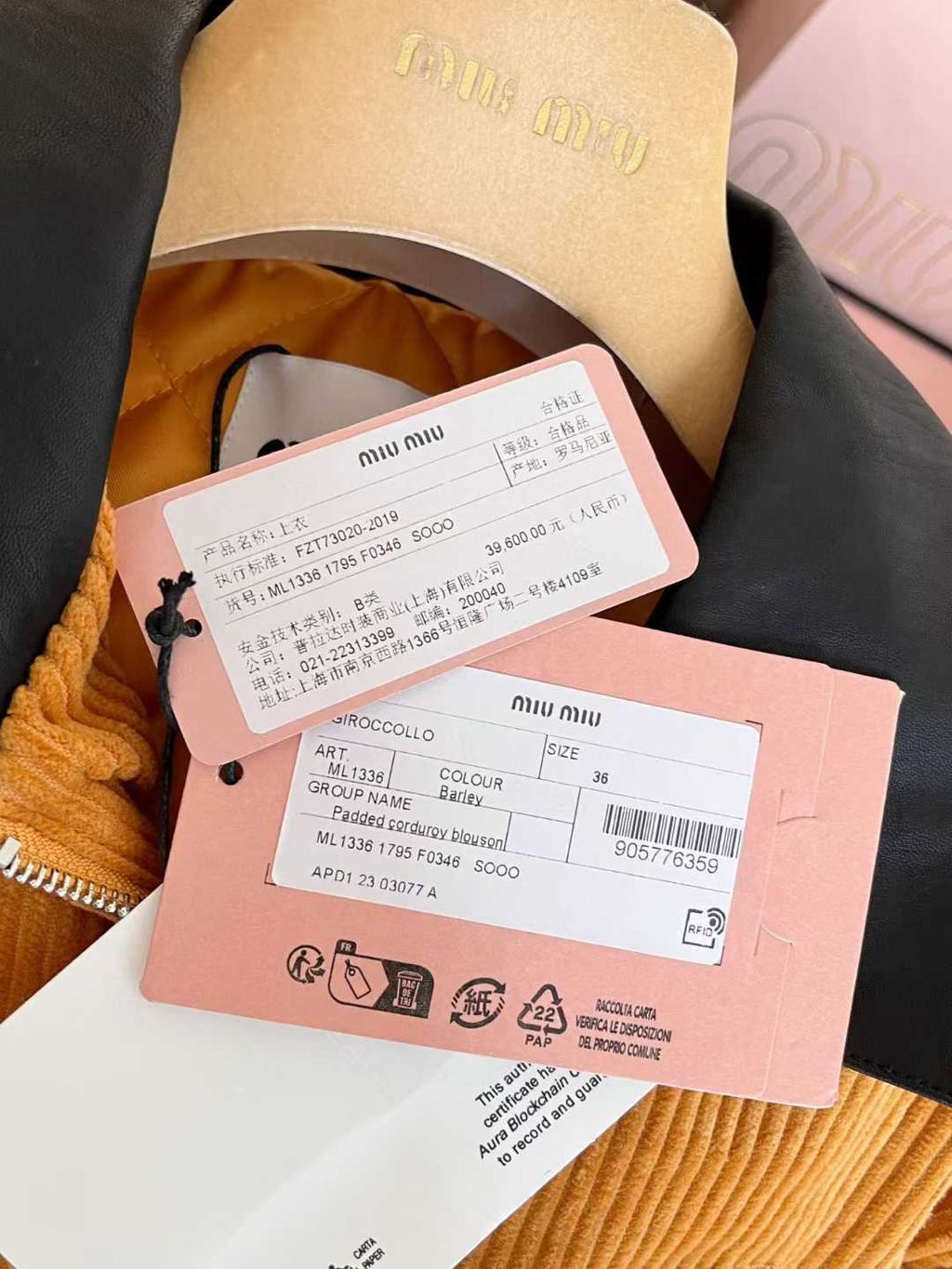 圖片_20251002124350