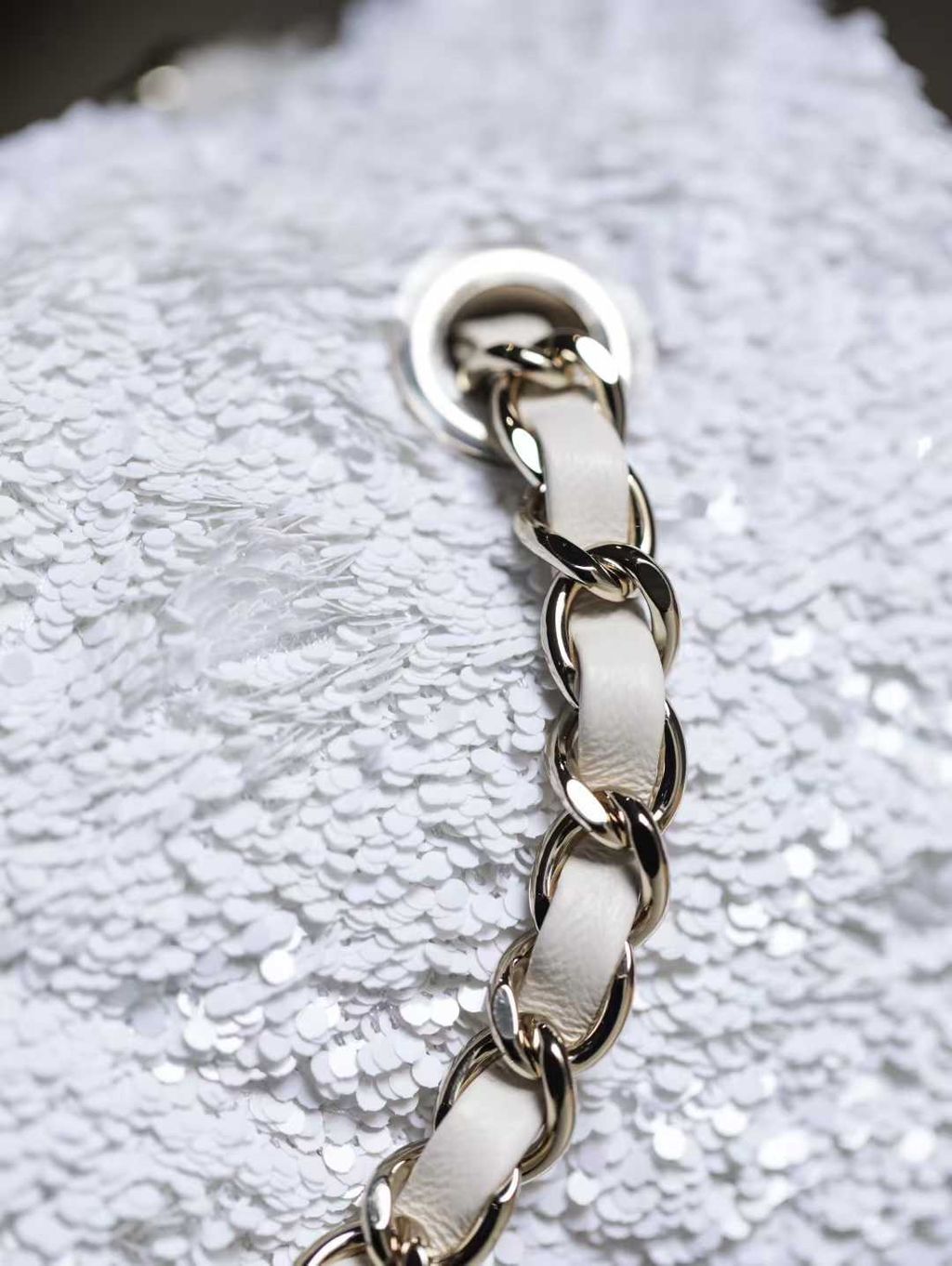 圖片_20251030145555