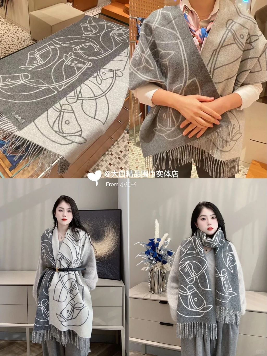 𝟐𝟎𝟐𝟑新《马术交织》_5_大白_来自小红书网页版