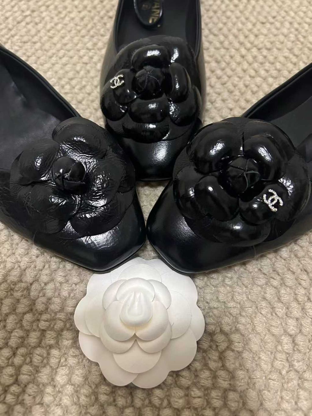 圖片_20251103144013