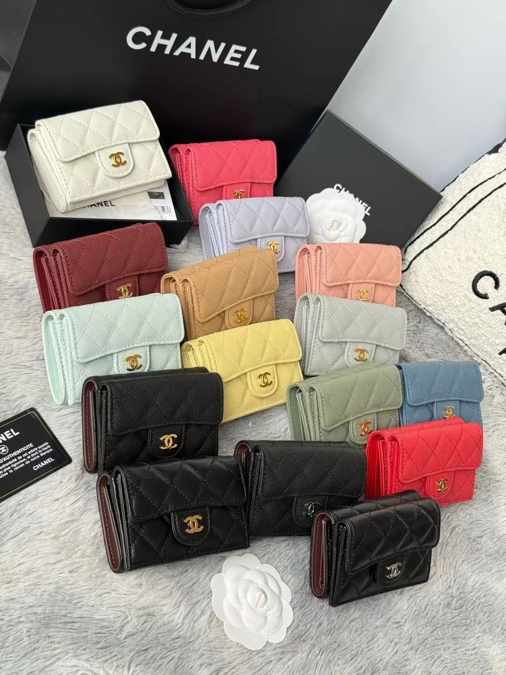 圖片_20251123123837