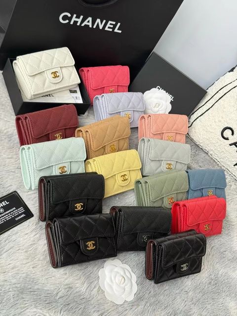 圖片_20251123123837