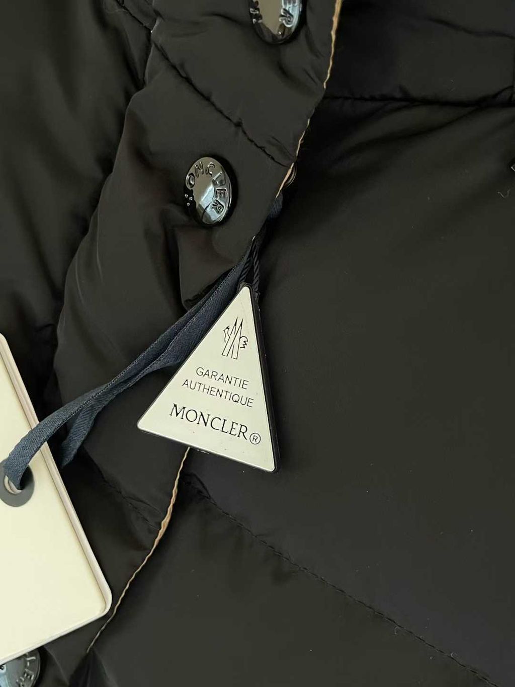 圖片_20251111170122