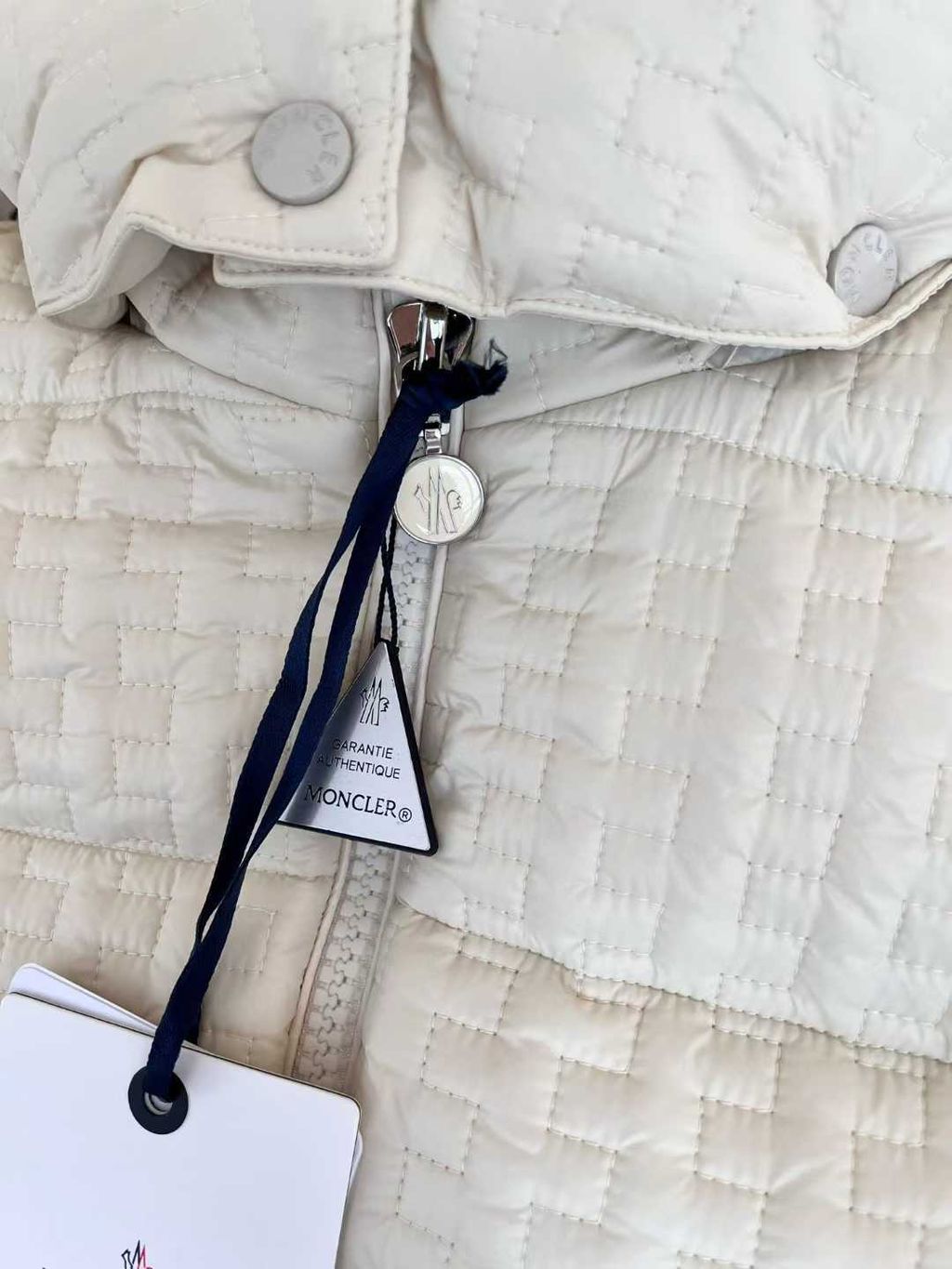 圖片_20251111170242