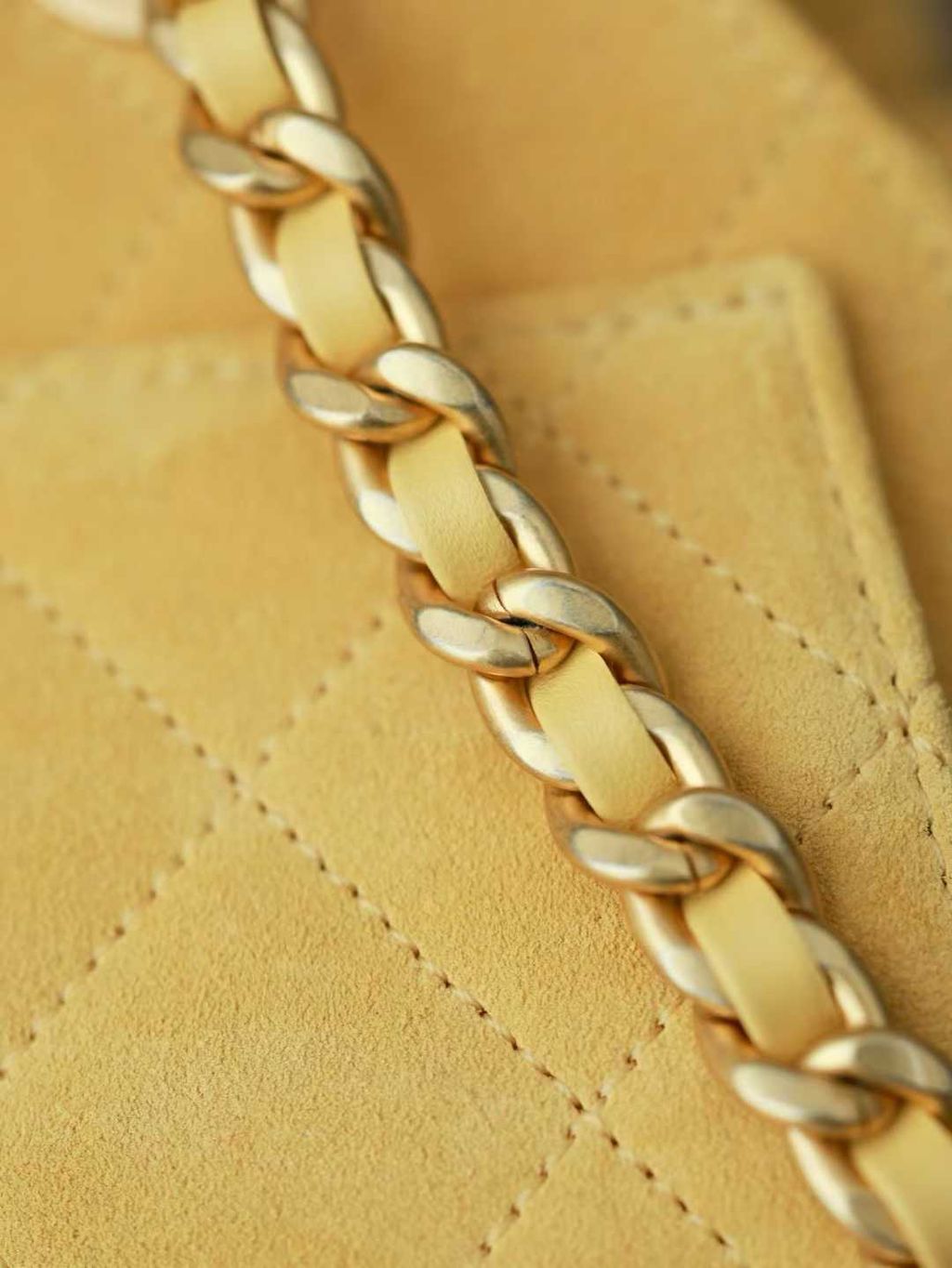 圖片_20251207114451