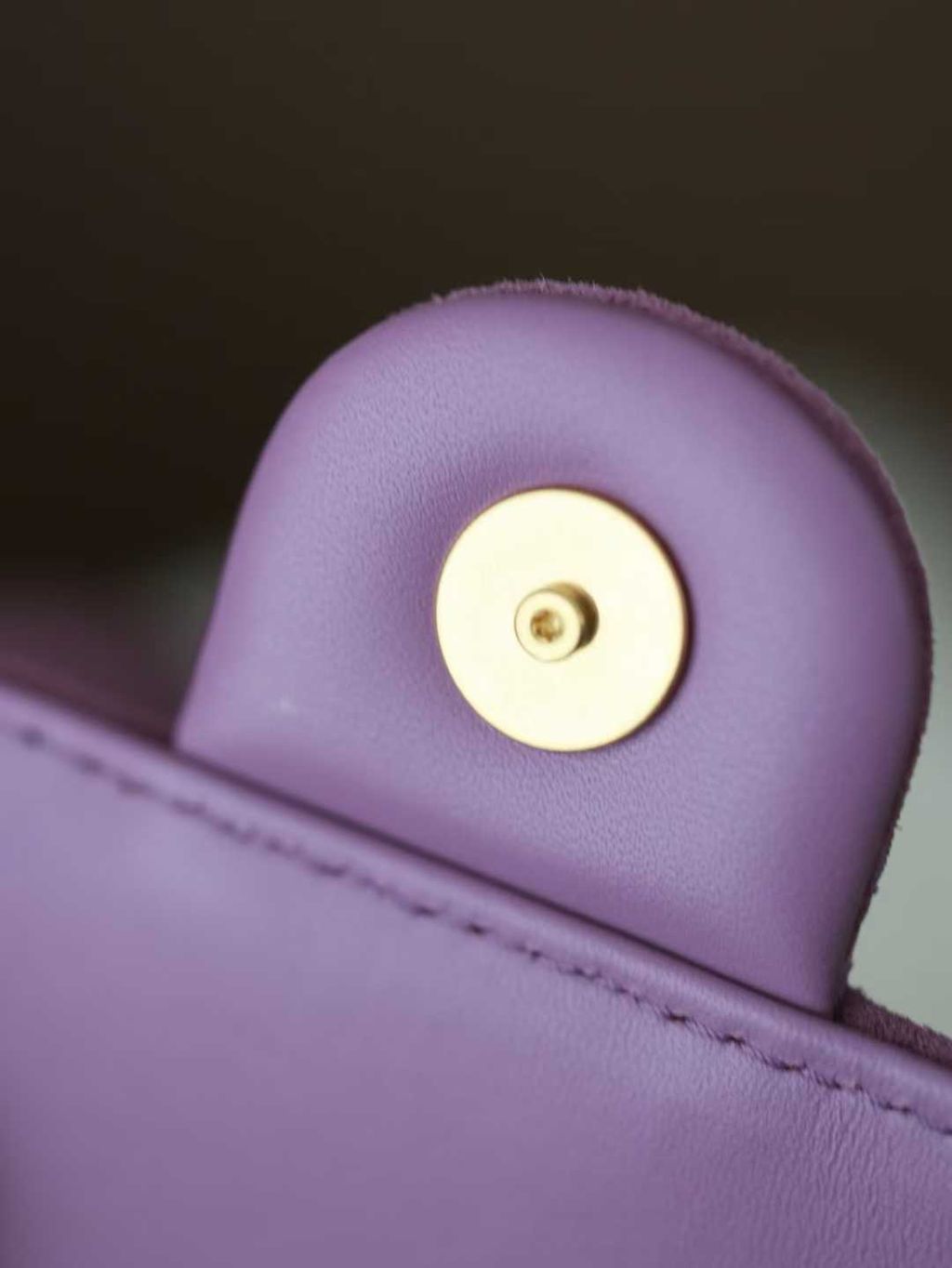 圖片_20251207114526