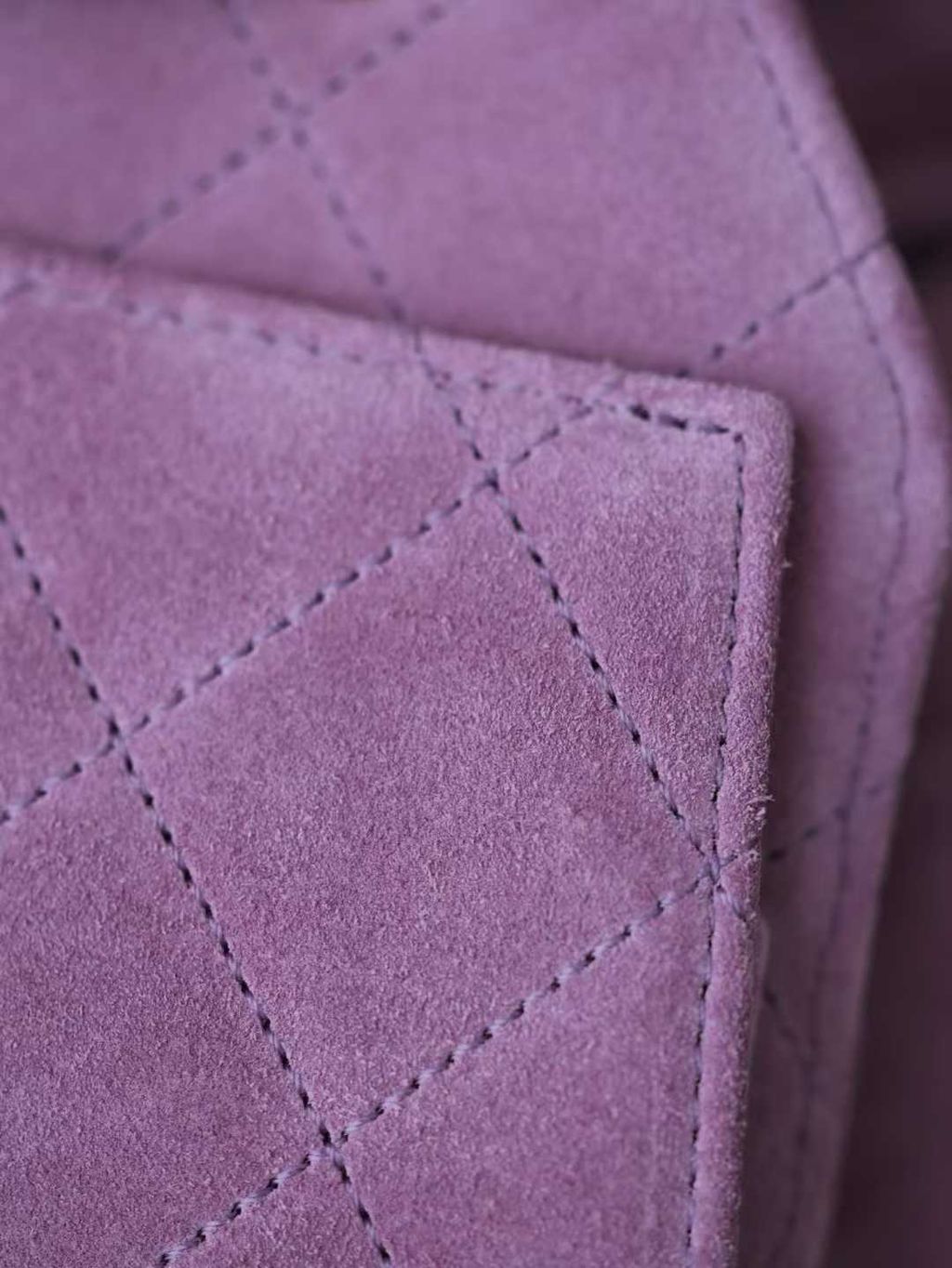 圖片_20251207114528