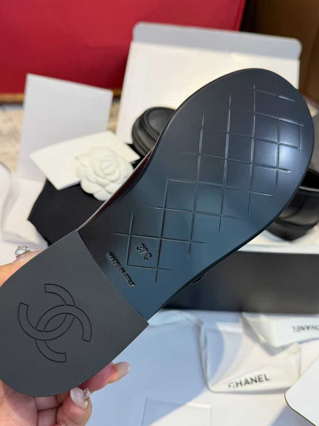 圖片_20251128145431