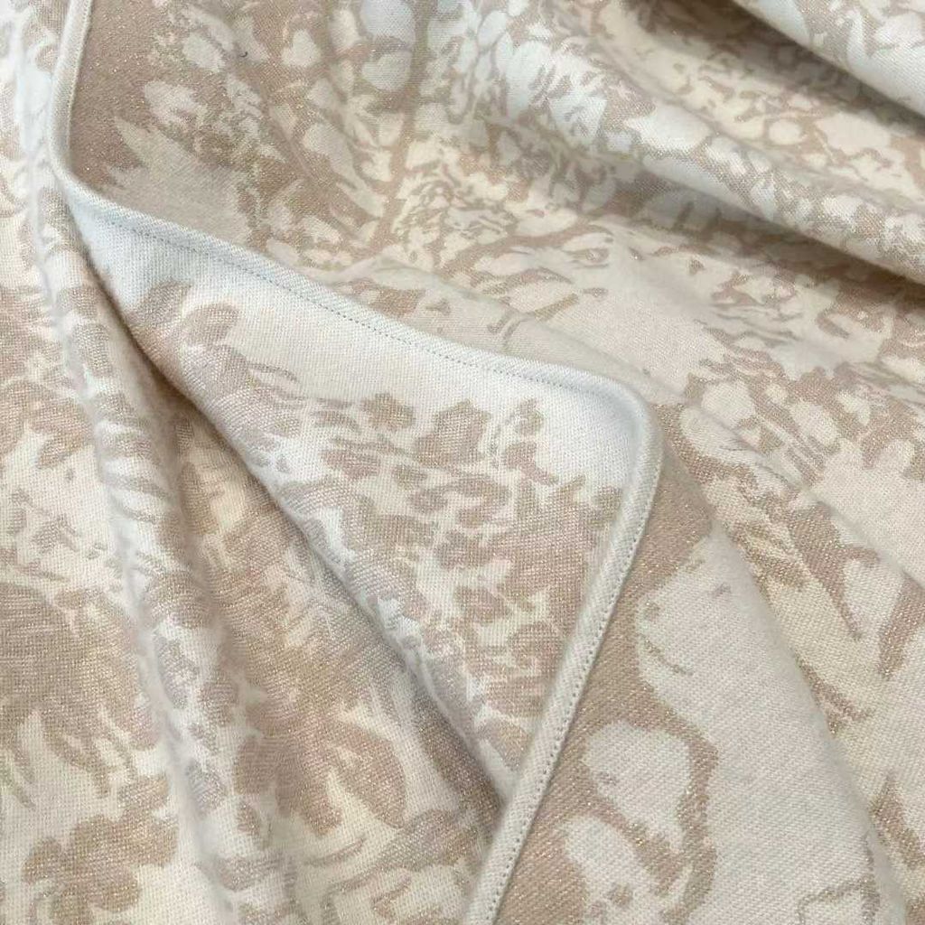 圖片_20251207123611