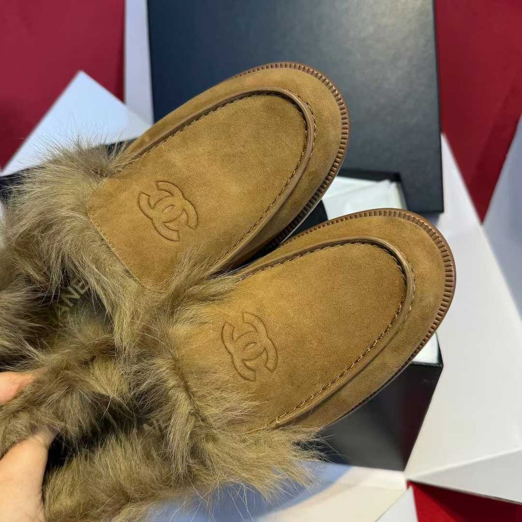 圖片_20251210170117