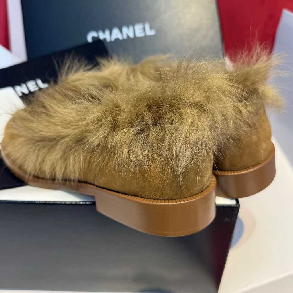 圖片_20251210170116