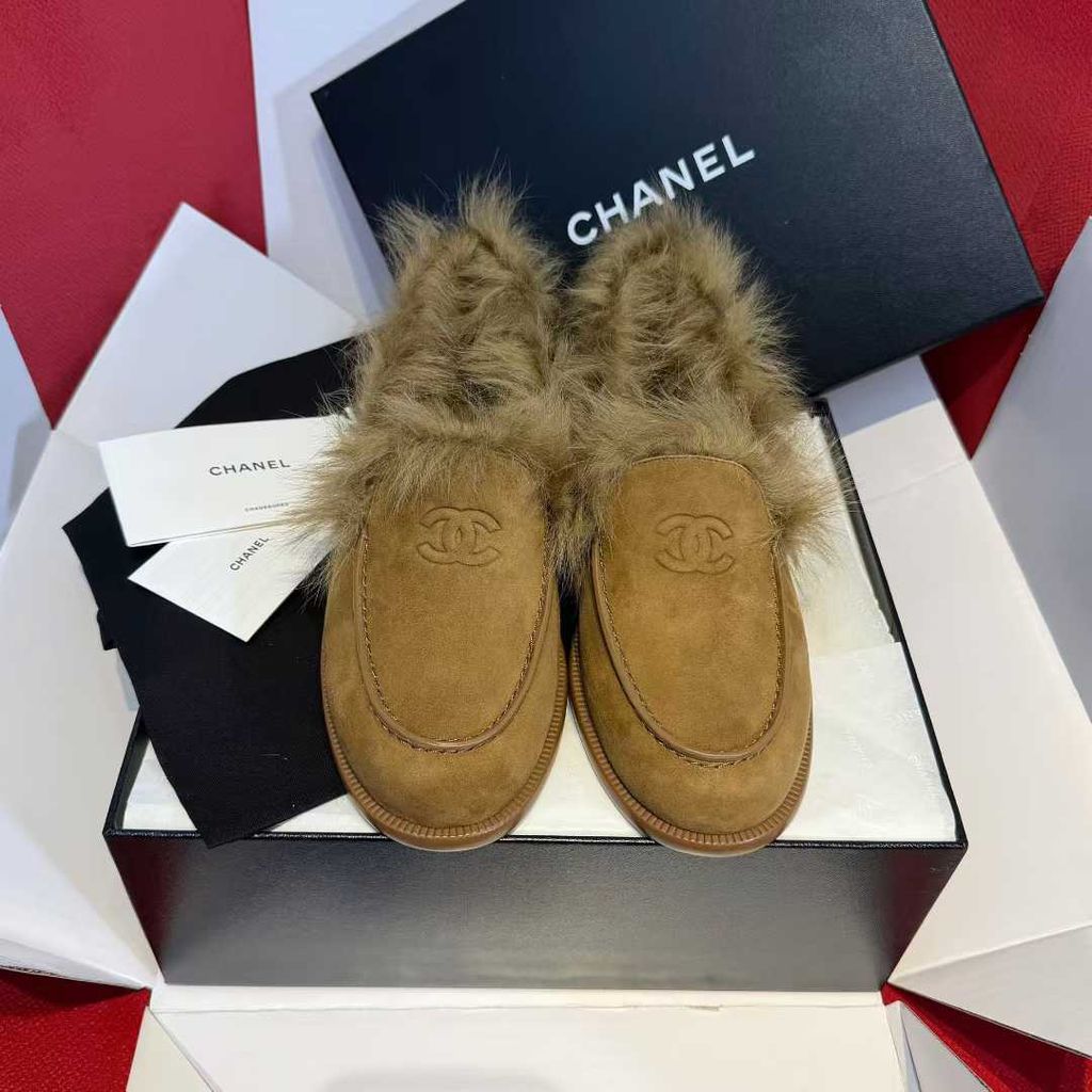 圖片_20251210170110