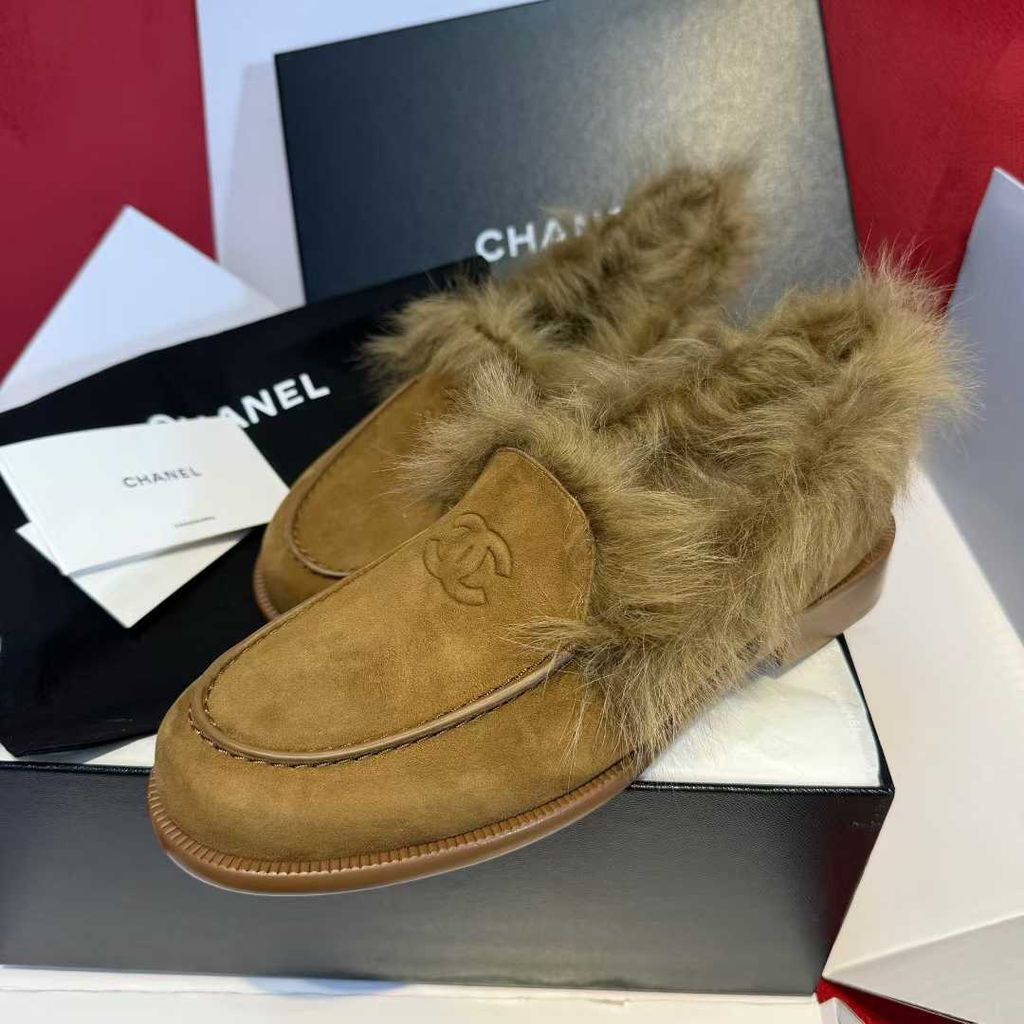 圖片_20251210170113