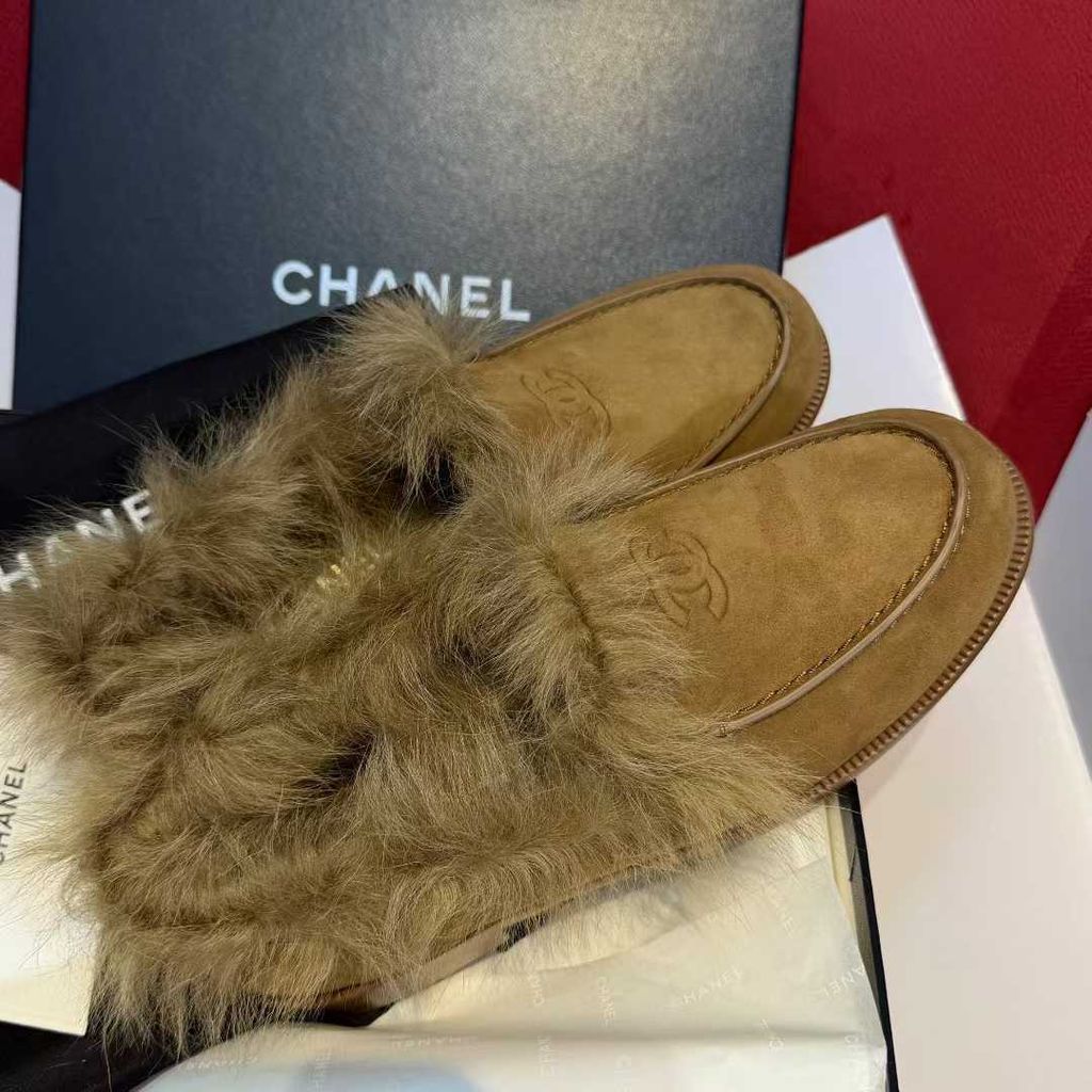 圖片_20251210170115