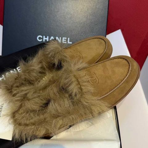 圖片_20251210170115