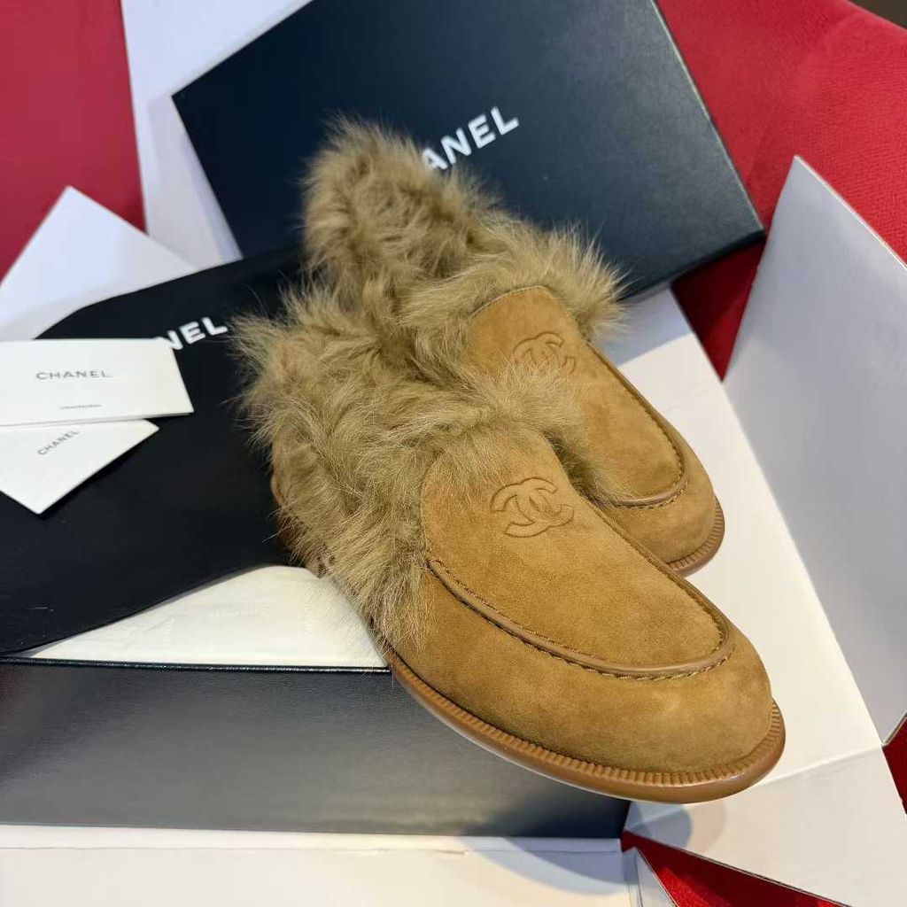 圖片_20251210170111