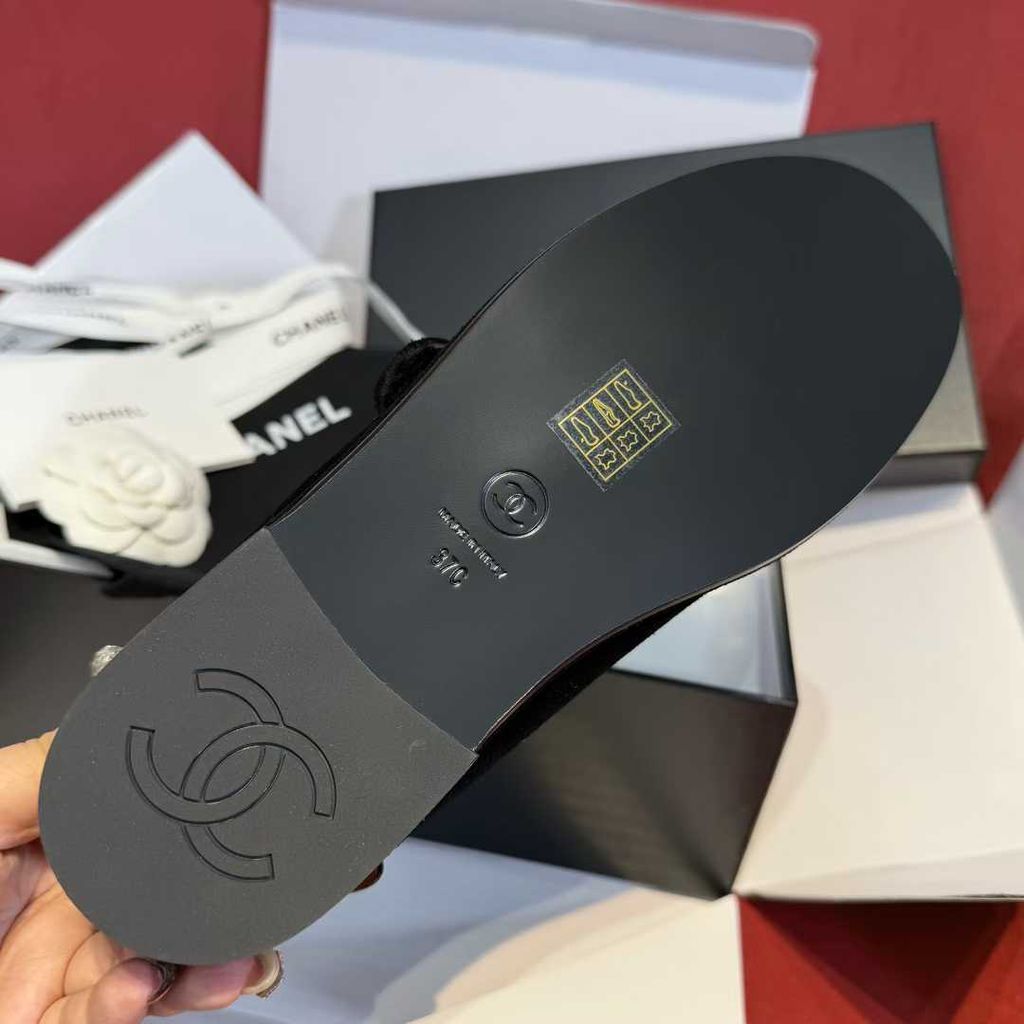 圖片_20251210164905