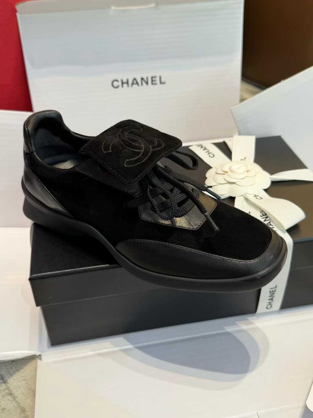 圖片_20251210165257