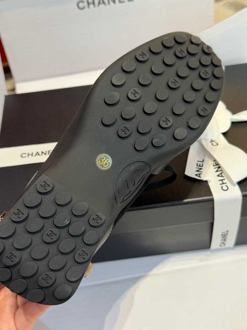 圖片_20251210165302