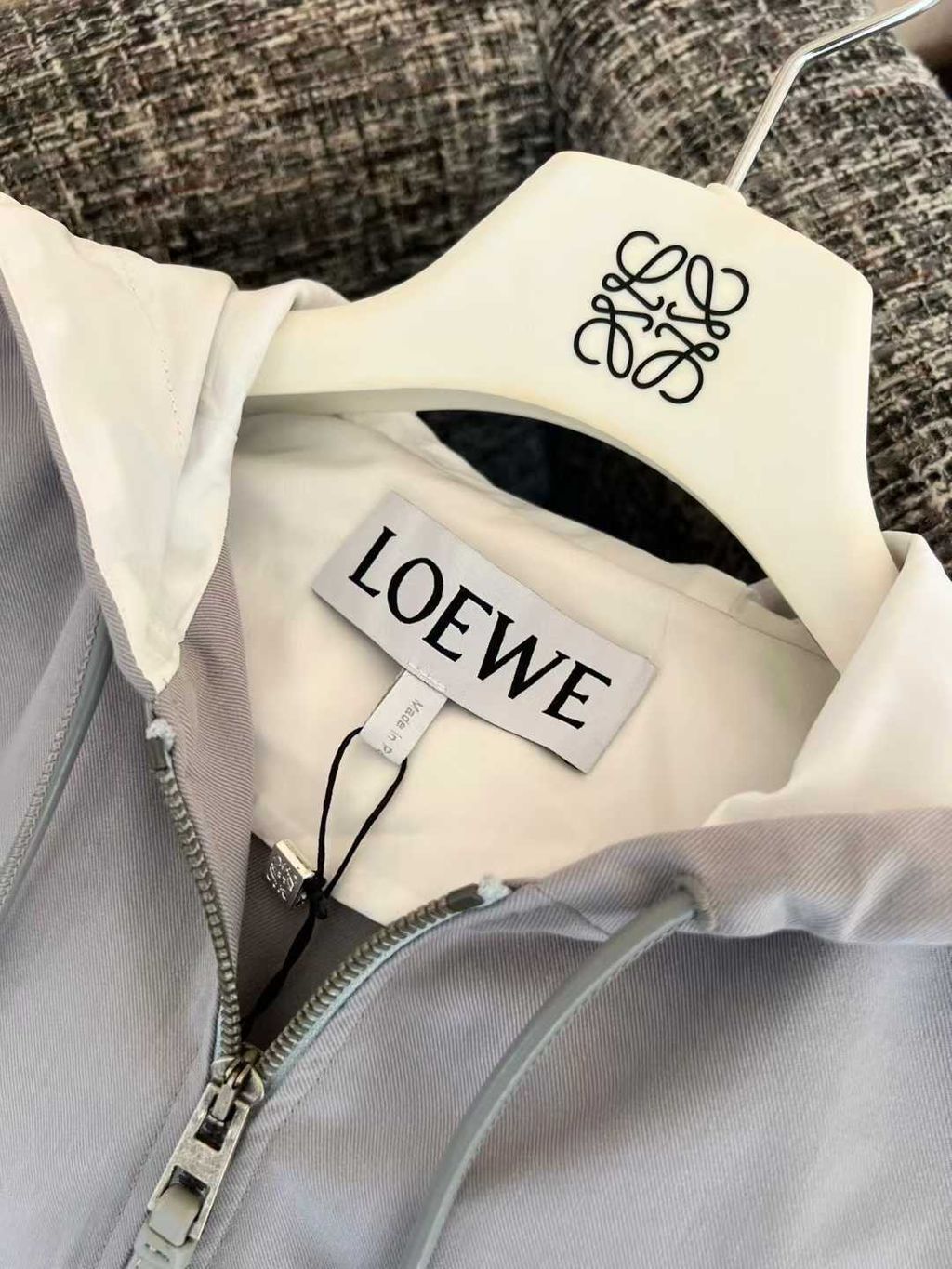 圖片_20251208144617