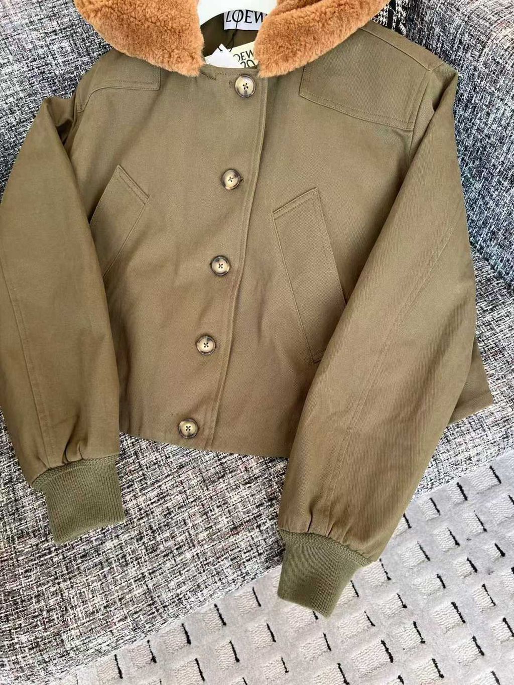 圖片_20251208143321