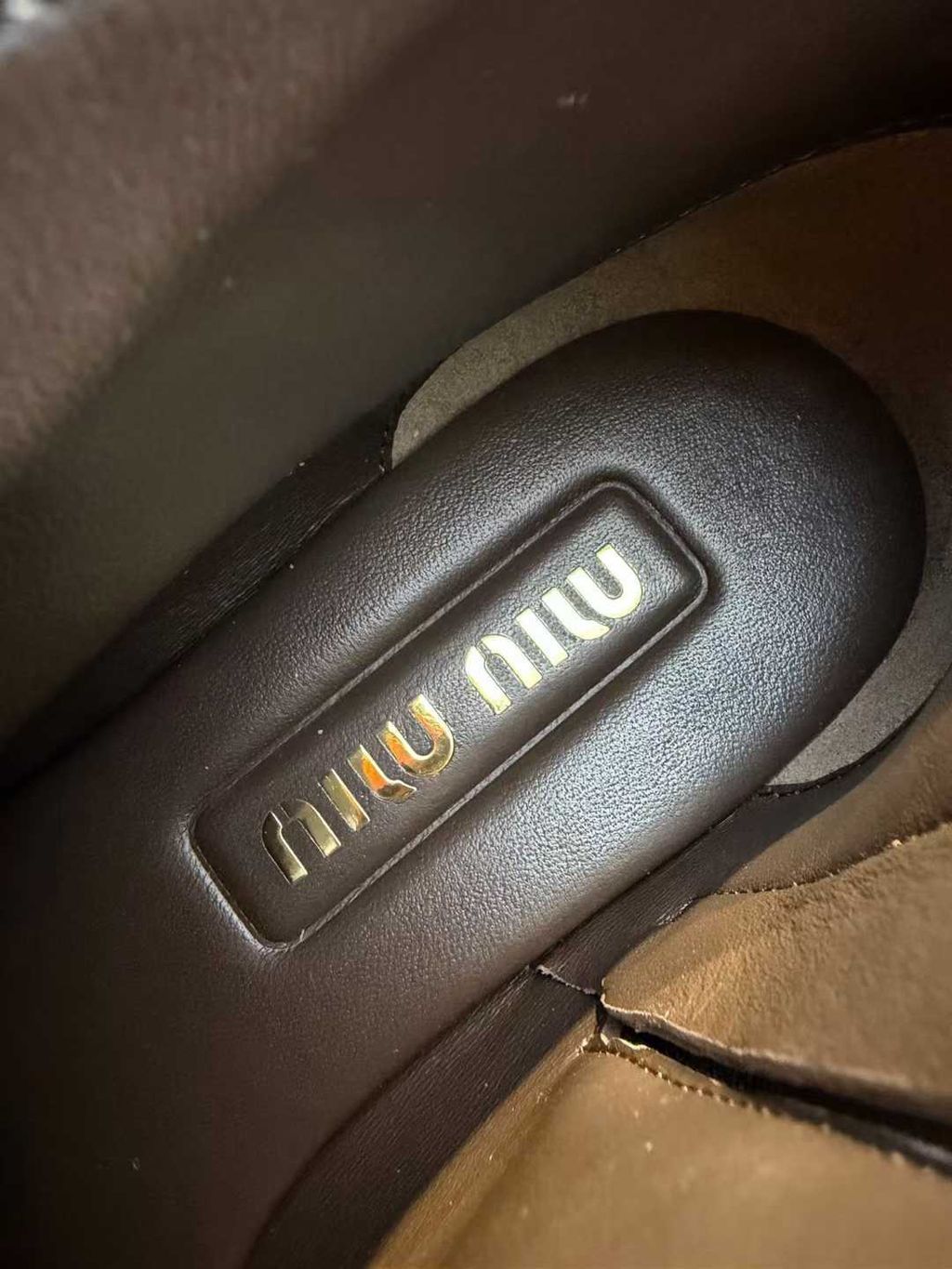 圖片_20251210165522