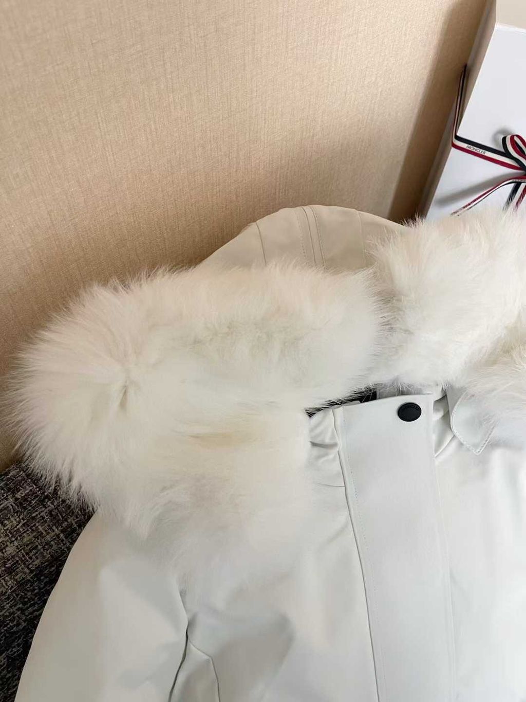 圖片_20251210172109