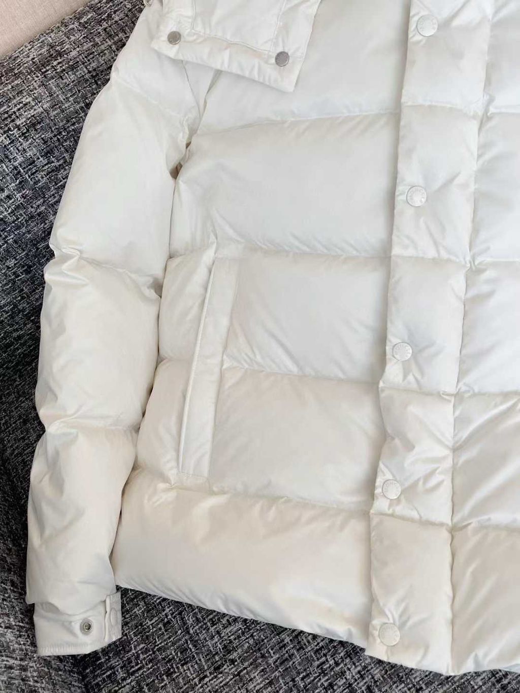 圖片_20251210172542