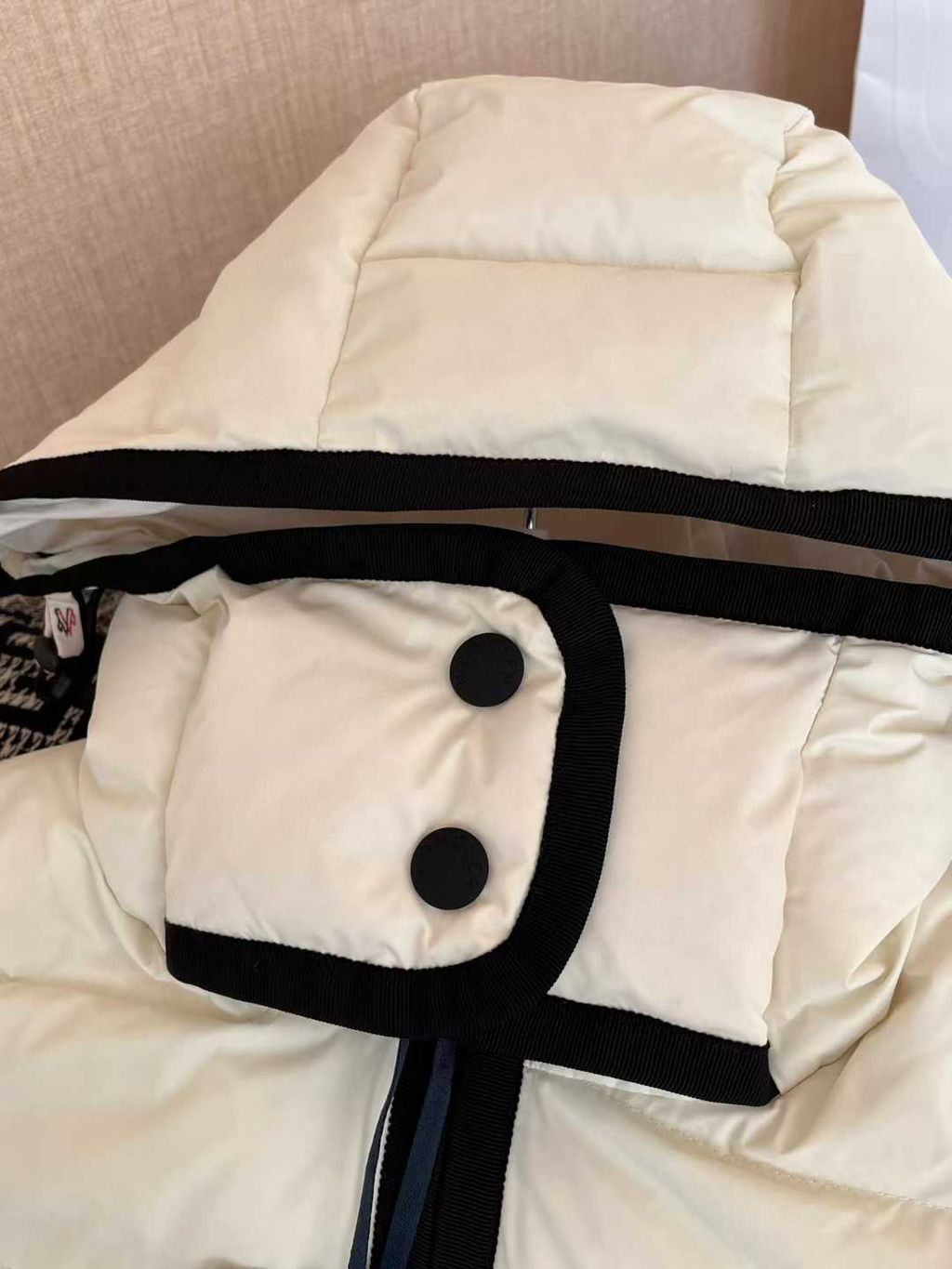 圖片_20251210173548