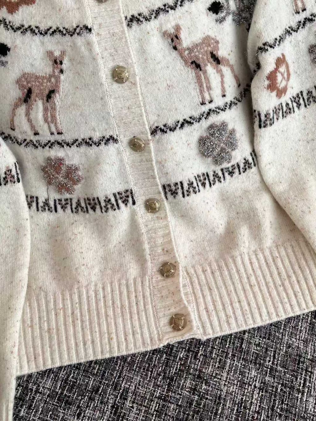 圖片_20251211123129