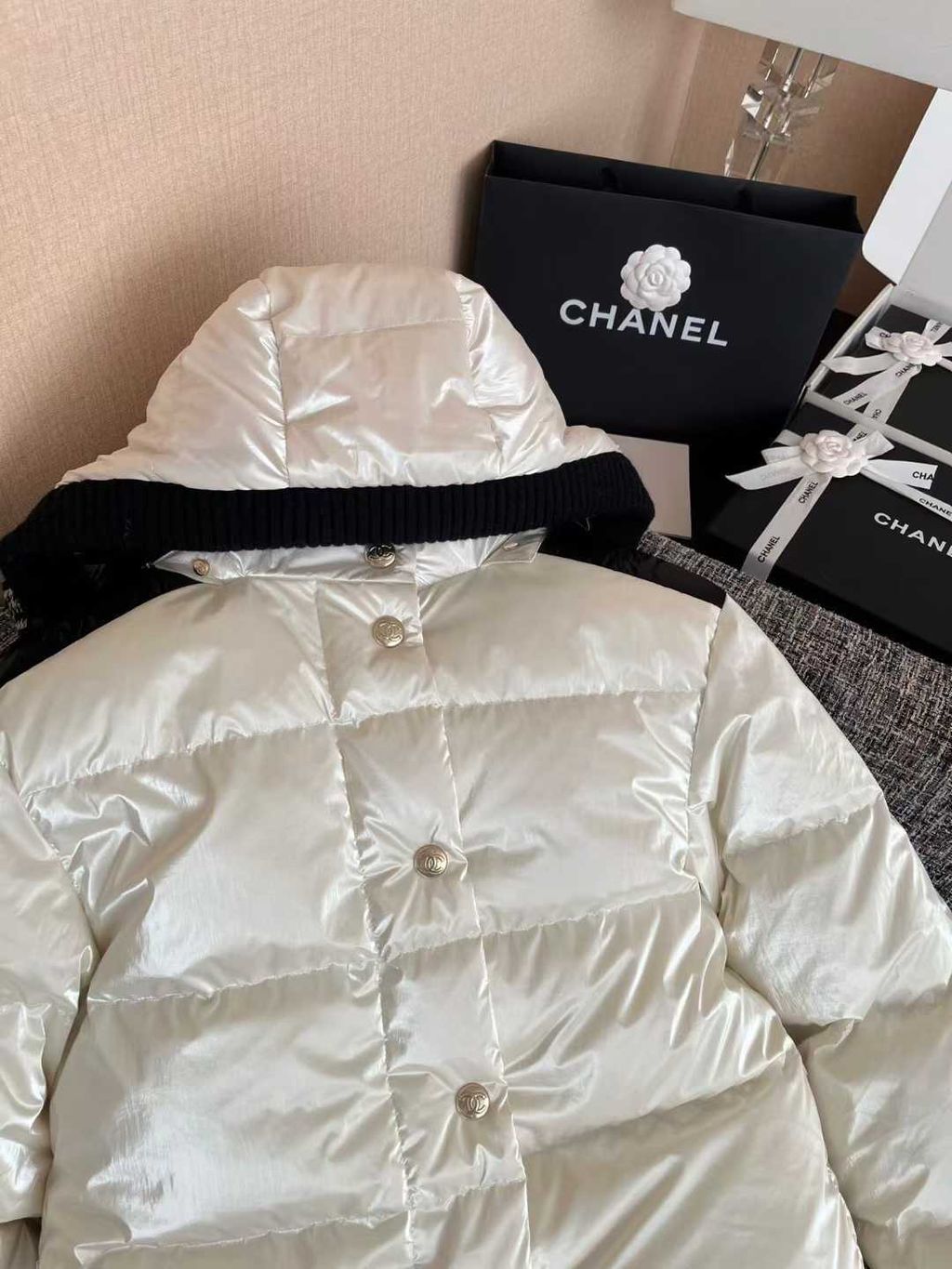 圖片_20251211124006