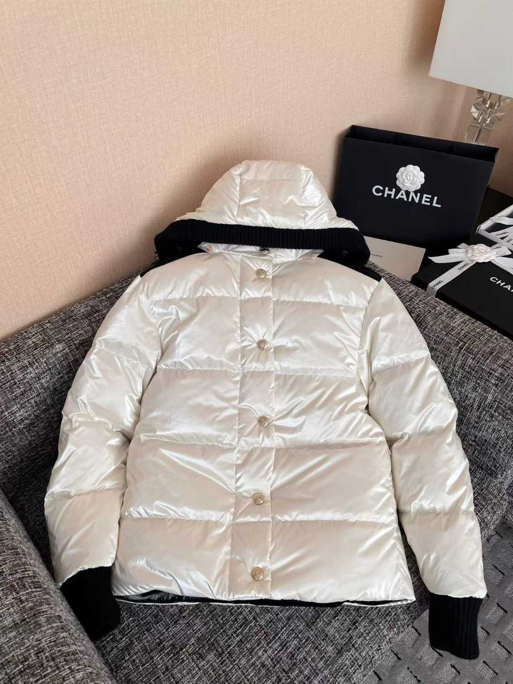 圖片_20251211124005