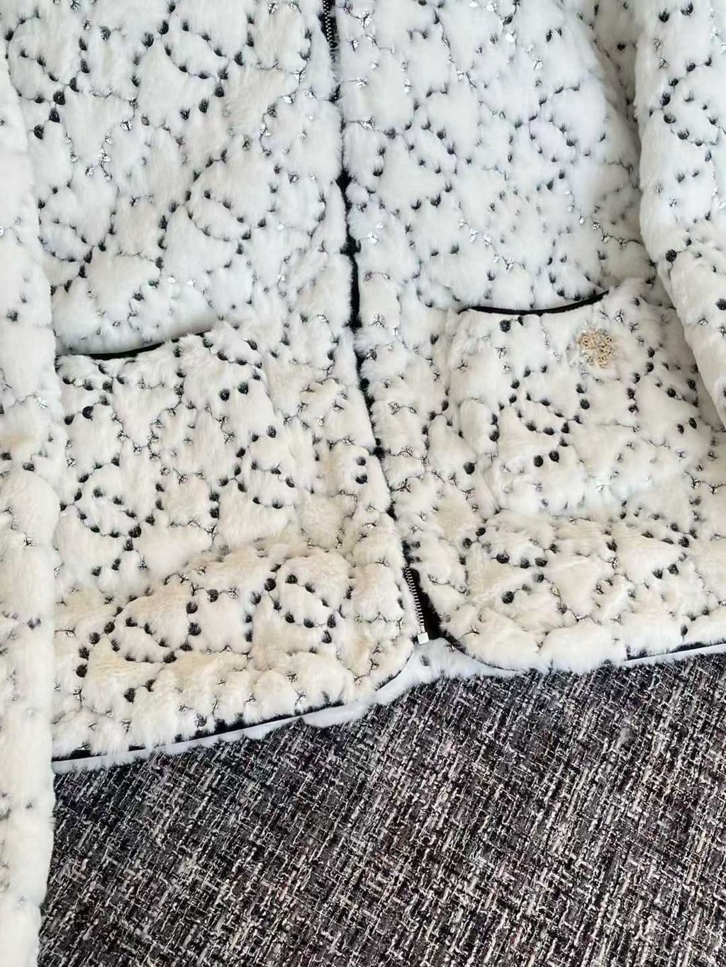 圖片_20251211124128