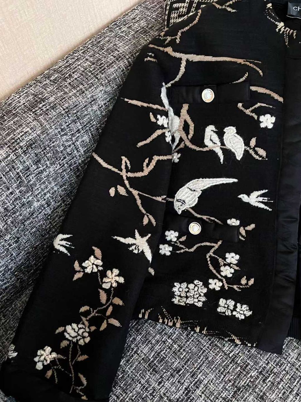 圖片_20251211124238