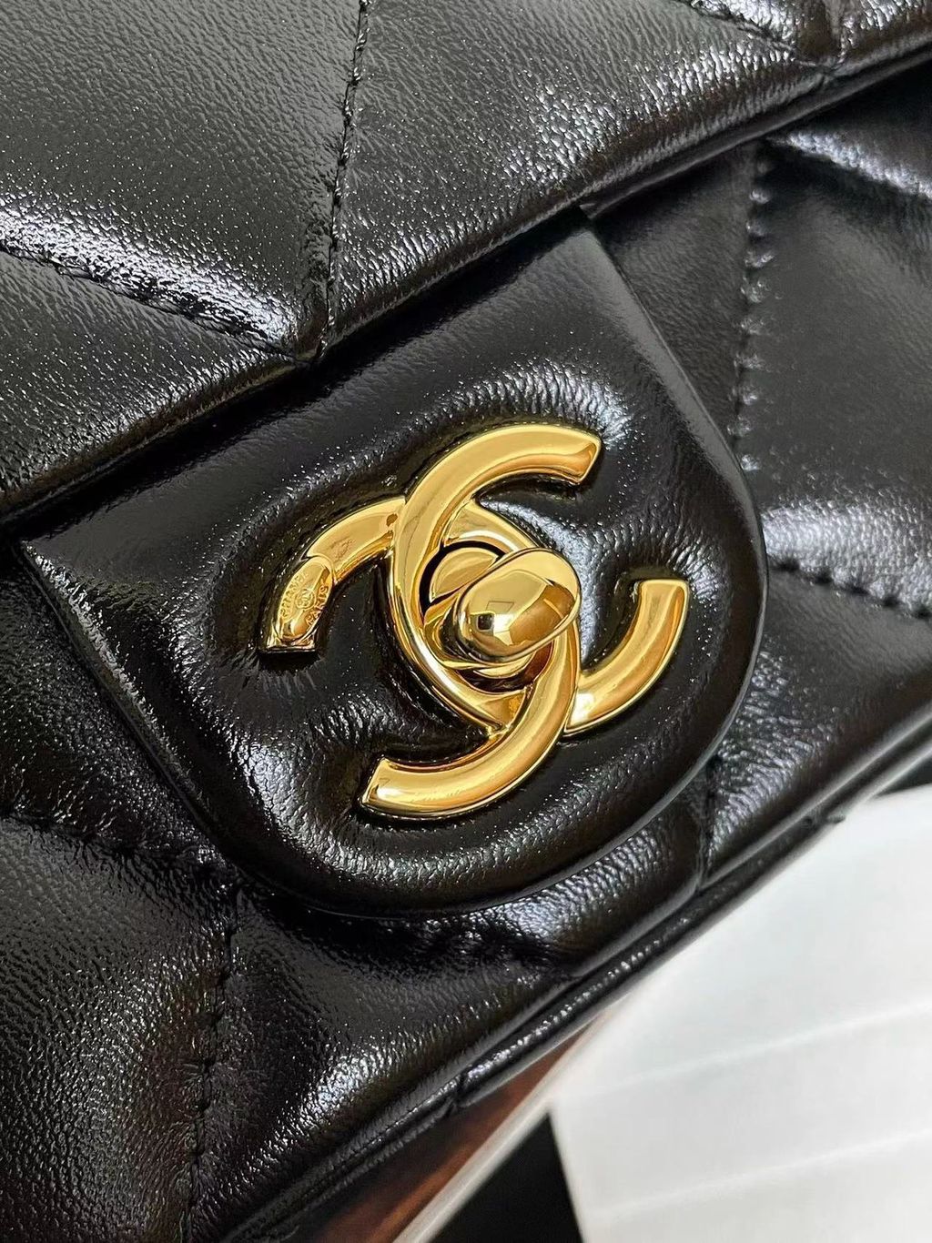 圖片_20251218140212