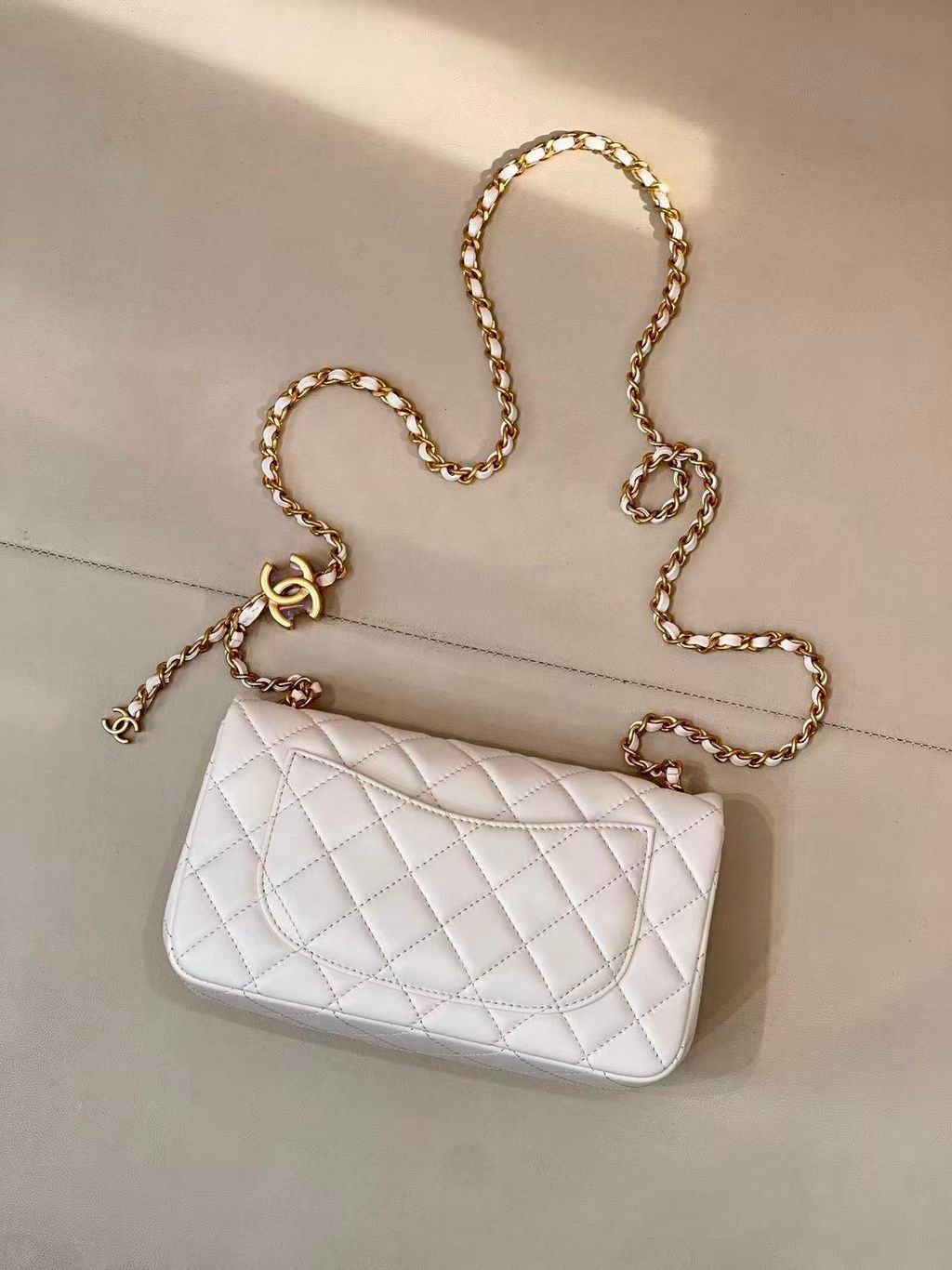 圖片_20251219172913