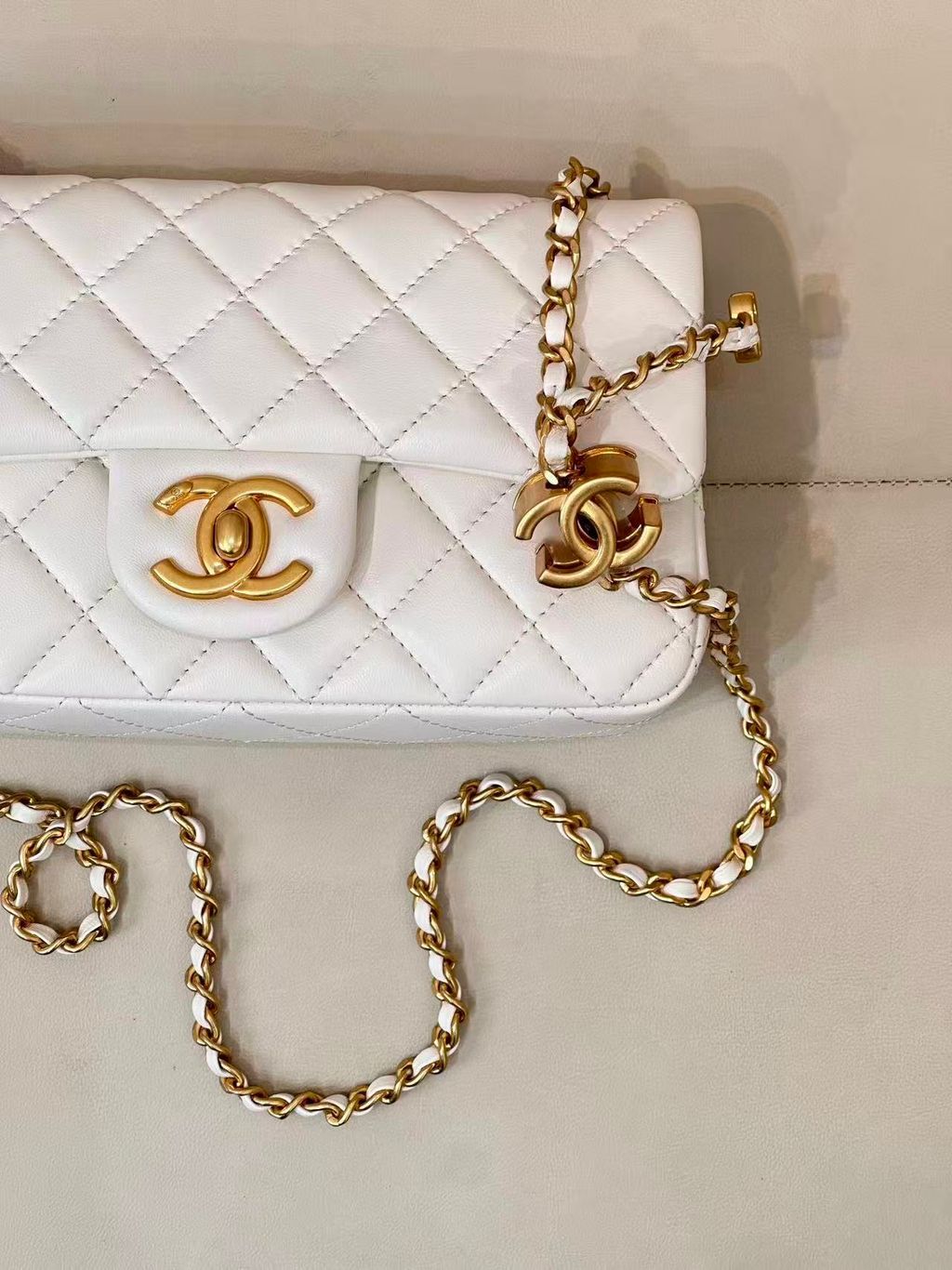 圖片_20251219172902